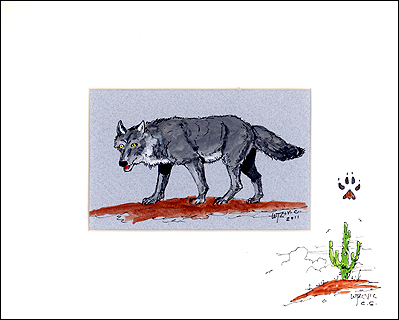 "El Lobo Grande" by William T. Zivic